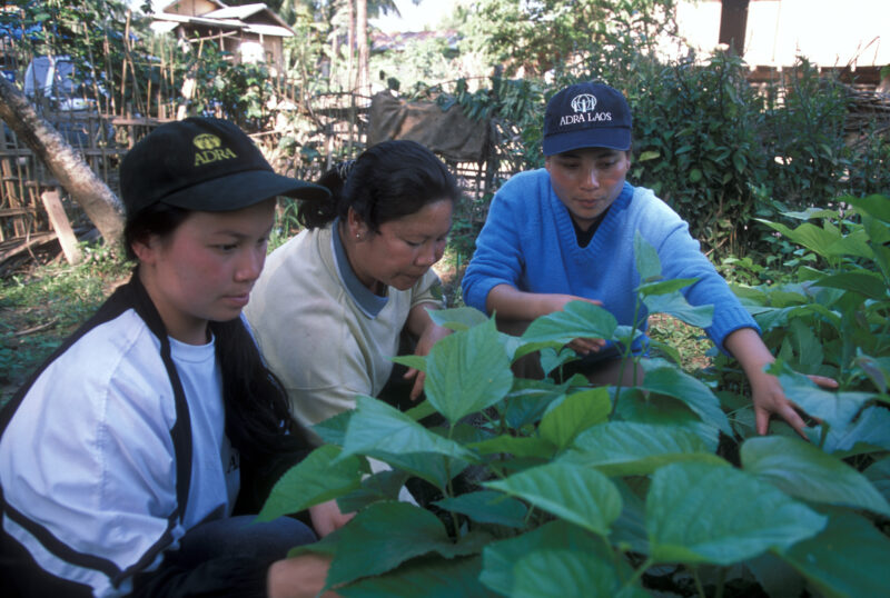 Learning the Silk Industry in Laos — In an ADRA training program, people in Northern Laos, learn how to make income from silkworm farming — Laos, Poverty, sk...