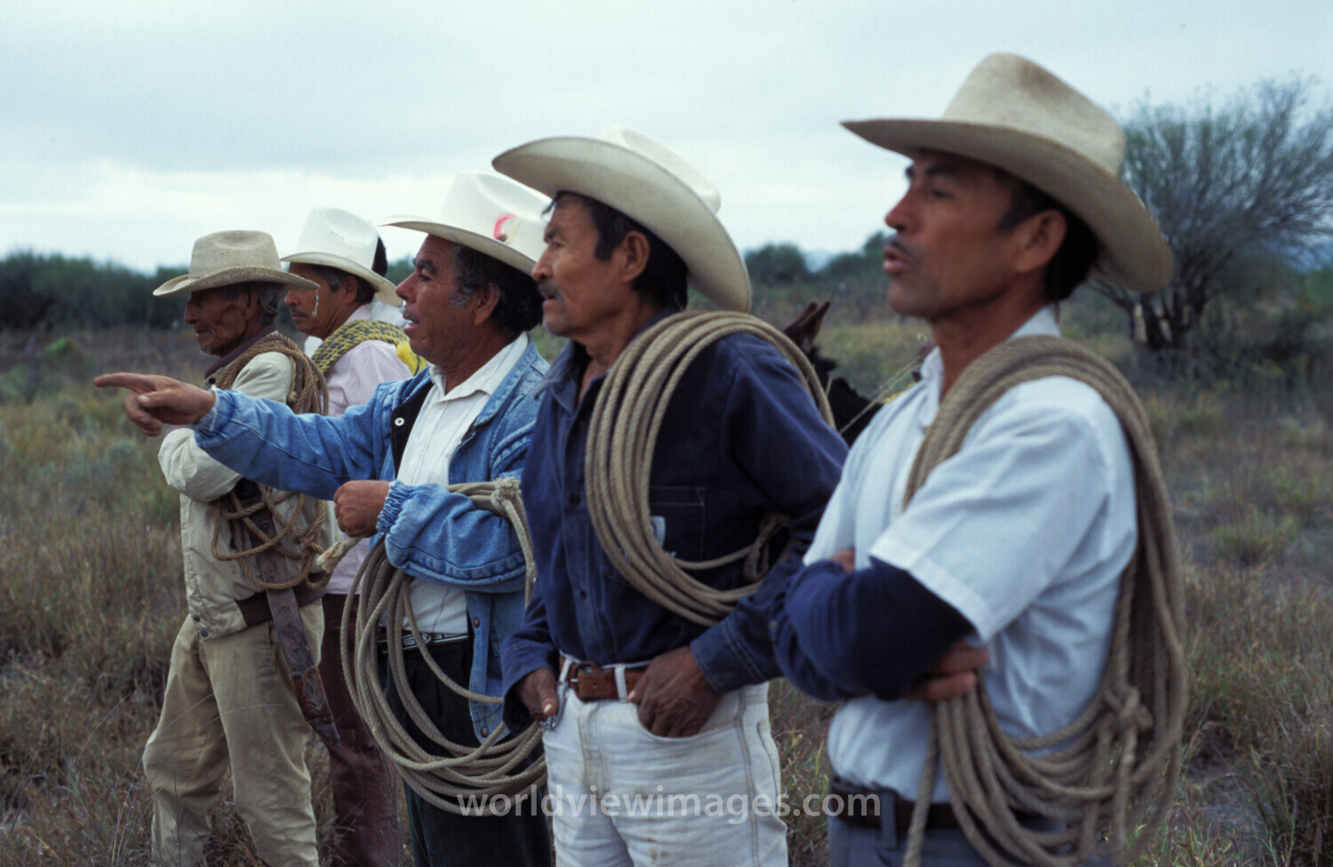 New Cowboys in Mexico