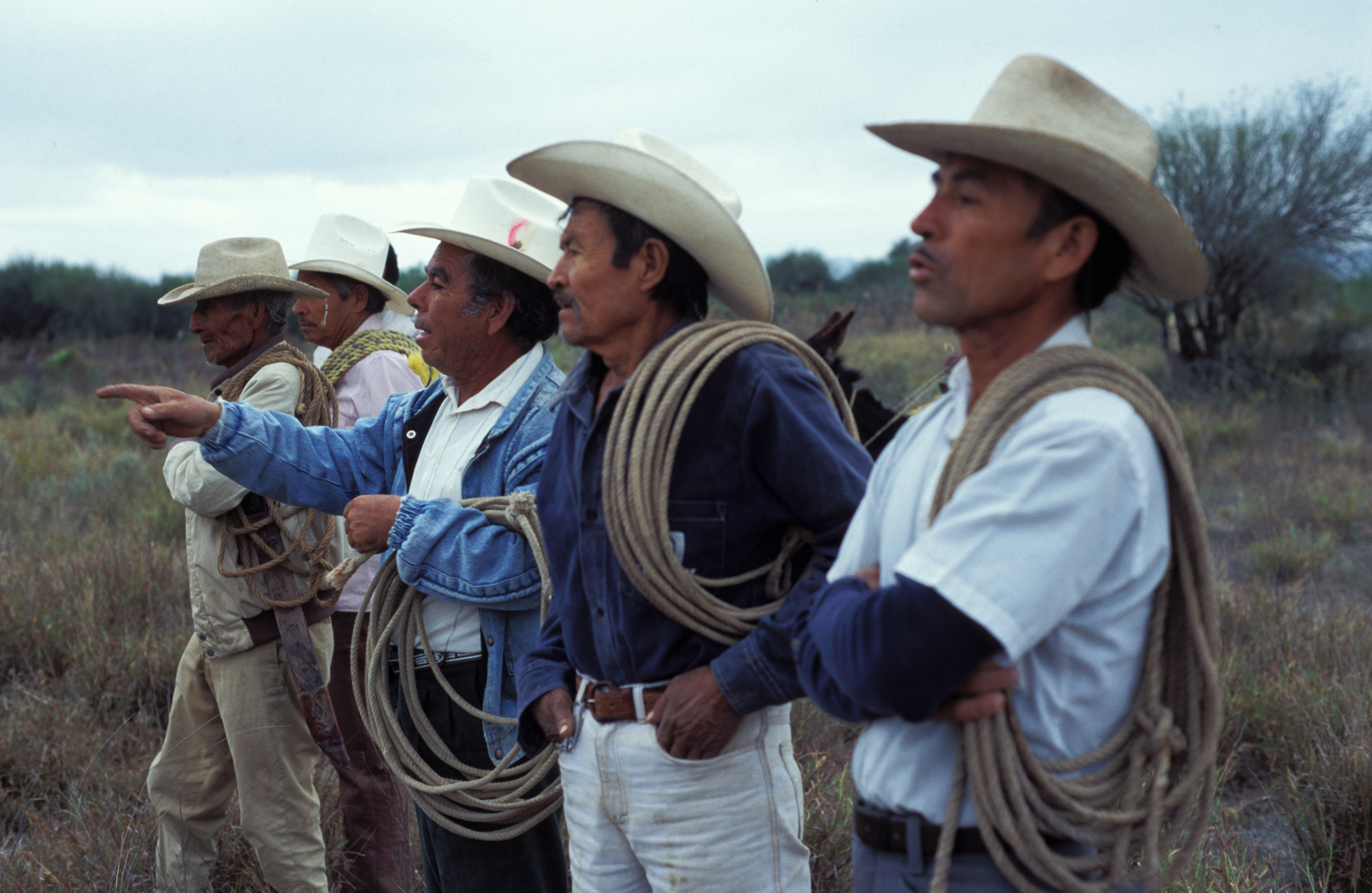 New Cowboys in Mexico