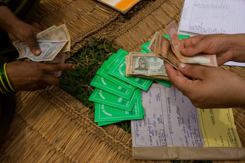 Micro Finance in Nepal — Images with recognizable faces should be used for editorial and educational projects only — Nepal, small loans, microfinance, women,...