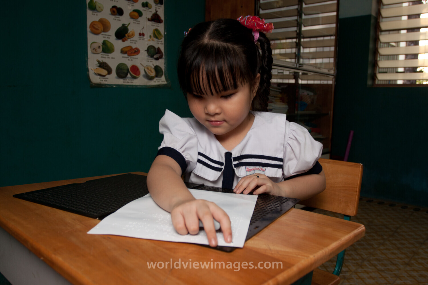 Vision Impared in Vietnam