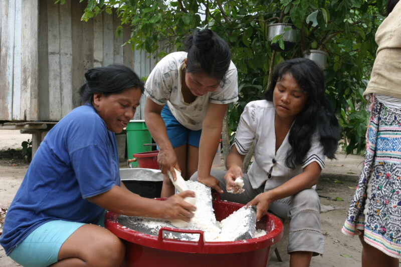 Women Shred Cassava in Peru — Stock Image of Shipibo Women Shreding Cassava in their village in Peru — Peru, Poverty, Shipibo, Amerindian, women