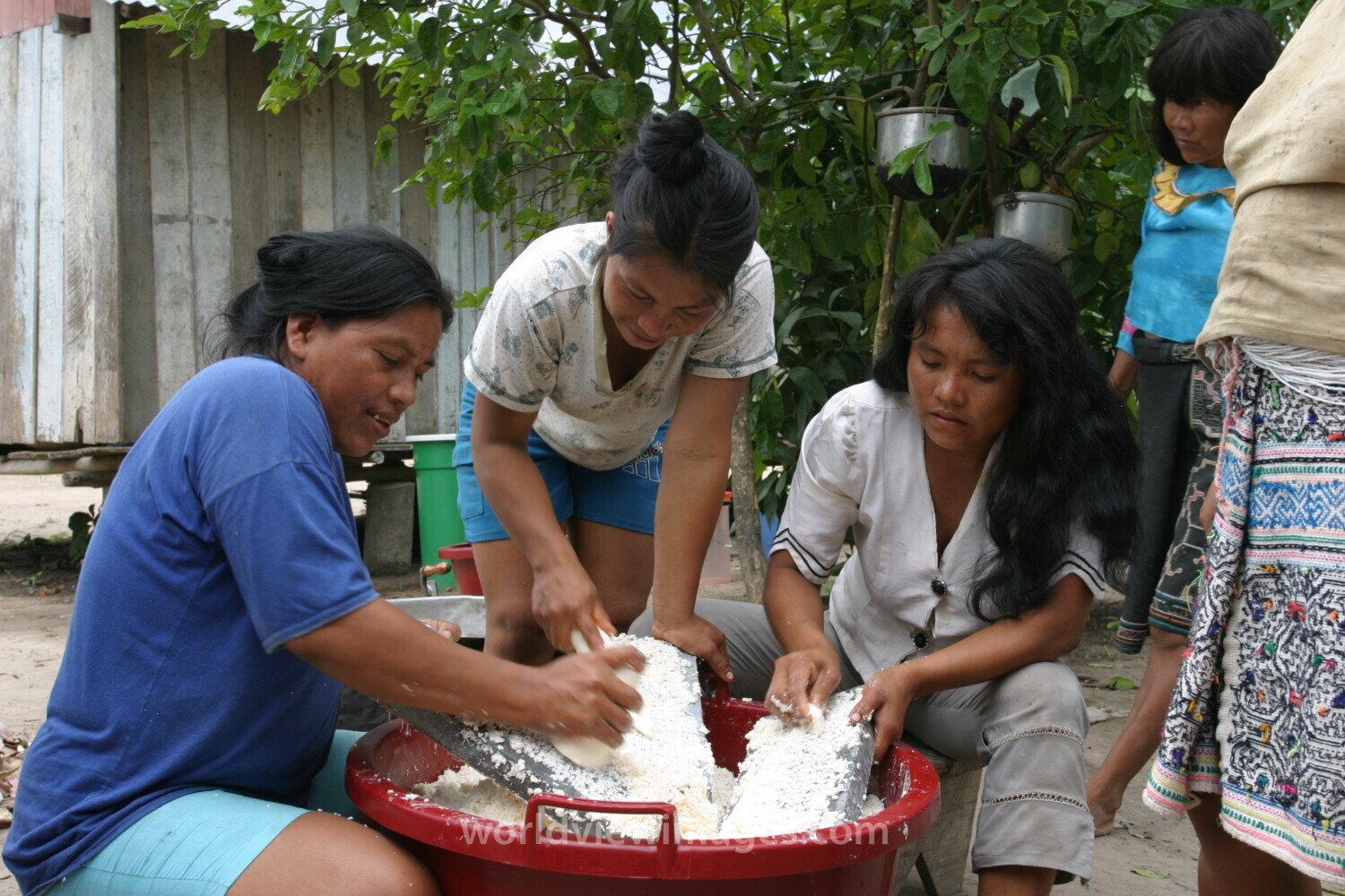 Women Shred Cassava in Peru