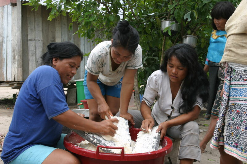Women Shred Cassava in Peru — Stock Image of Shipibo Women Shreding Cassava in their village in Peru — Peru, Poverty, Shipibo, Amerindian, women