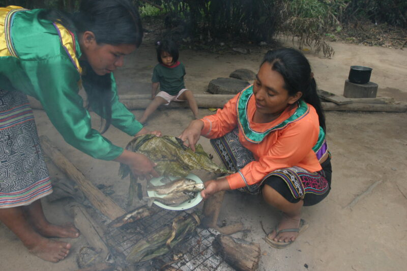 Cooking Fish in Peru — Shipibo Indian women cook fish over a fire in their village in Peru — Ethnic Minority, Shipibo Indians, Ucayali River, Peru, Amazon
