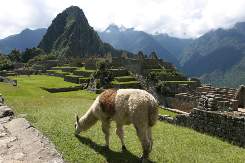 Machu Picchu — Machu Picchu, Peru, Machu Pikchu, history, archaeology