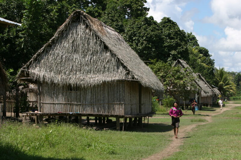 Typical Housing in Shipibo Villages in Peru — Stock image of Typical Housing in Shipibo Villages in the Pucallpa region of Peru — Ethnic Minority, Shipibo In...
