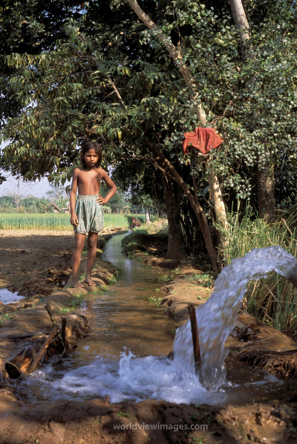 Irrigation in Bangladesh