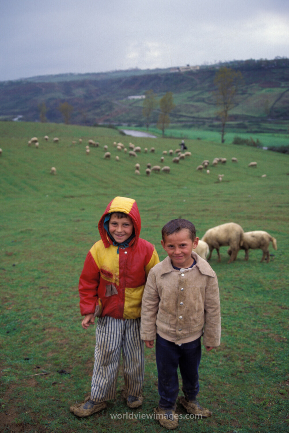 Children in Albania