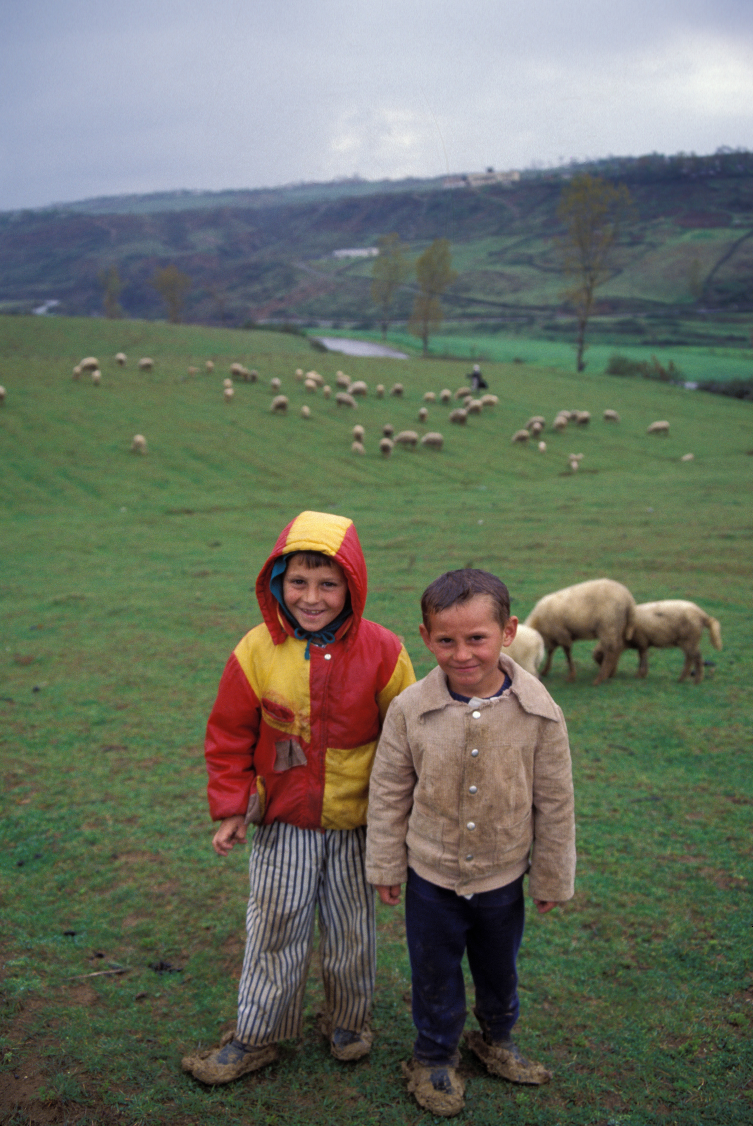 Children in Albania