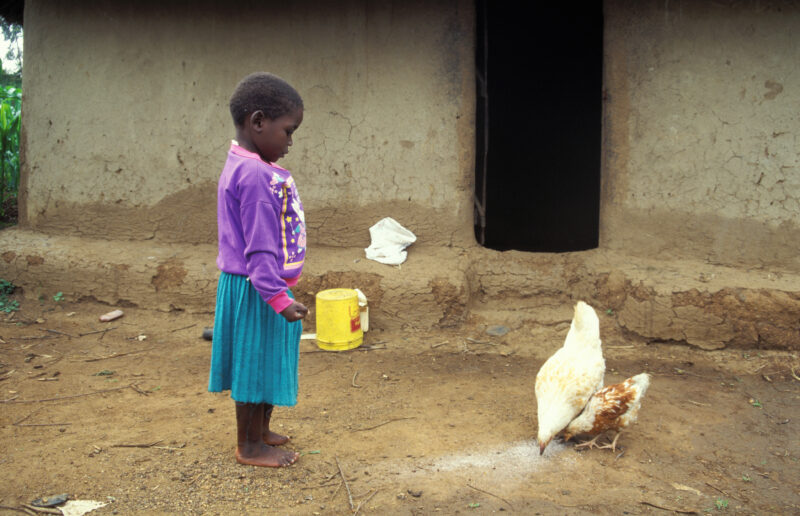 Disabled Girl in Kenya — Kenya, girl, disability