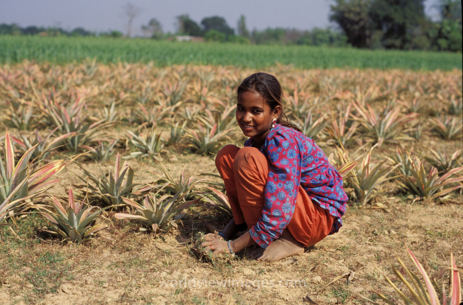 Girl in Bangladesh