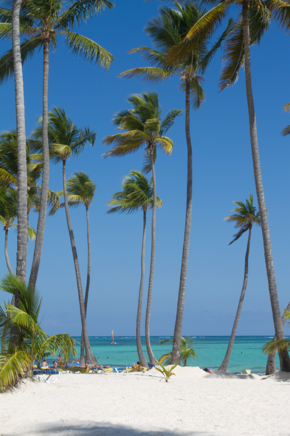 Bavaro Beach in the Dominican Republic