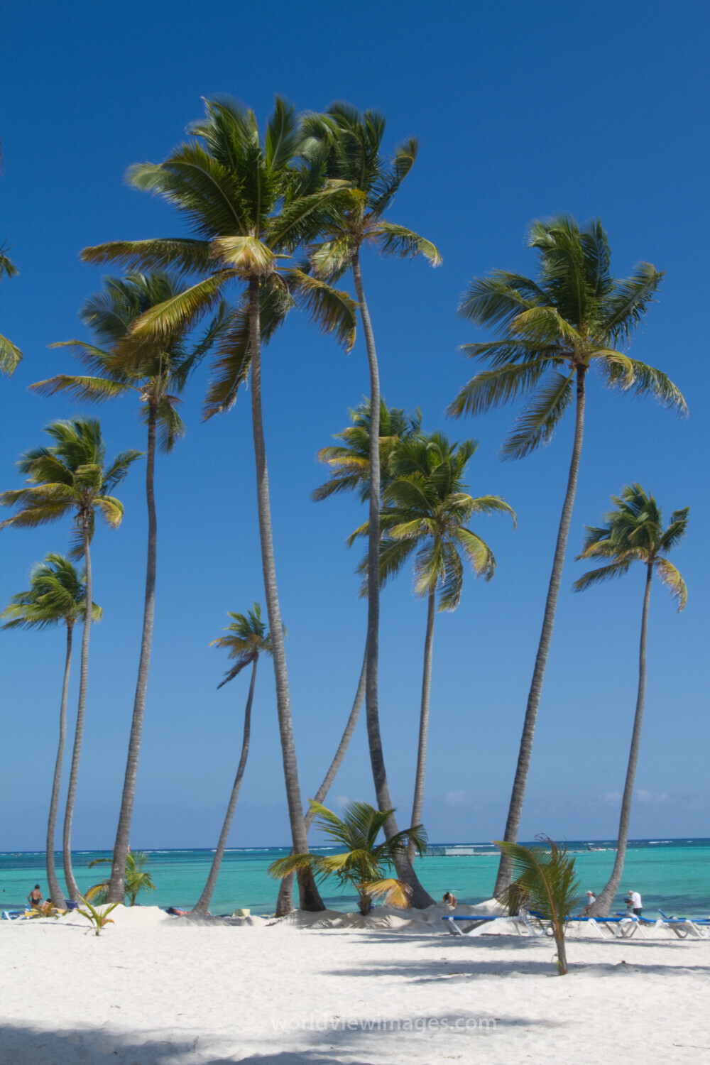 Bavaro Beach in the Dominican Republic