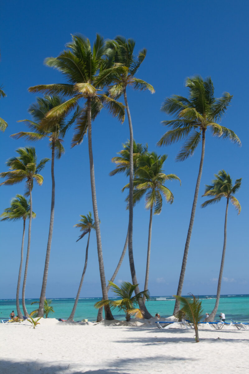 Bavaro Beach in the Dominican Republic — Dominican Republic, Bavaro, Punta Cana, beaches, white sand