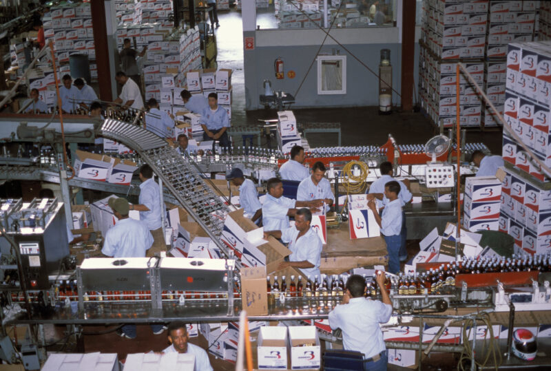Rum Bottling in Dominican Republic — Men working at a Rum bottling factory in Peurto Plata — Dominican Republic, Peurto Plata, Rum, Rum Factory, Bottlers