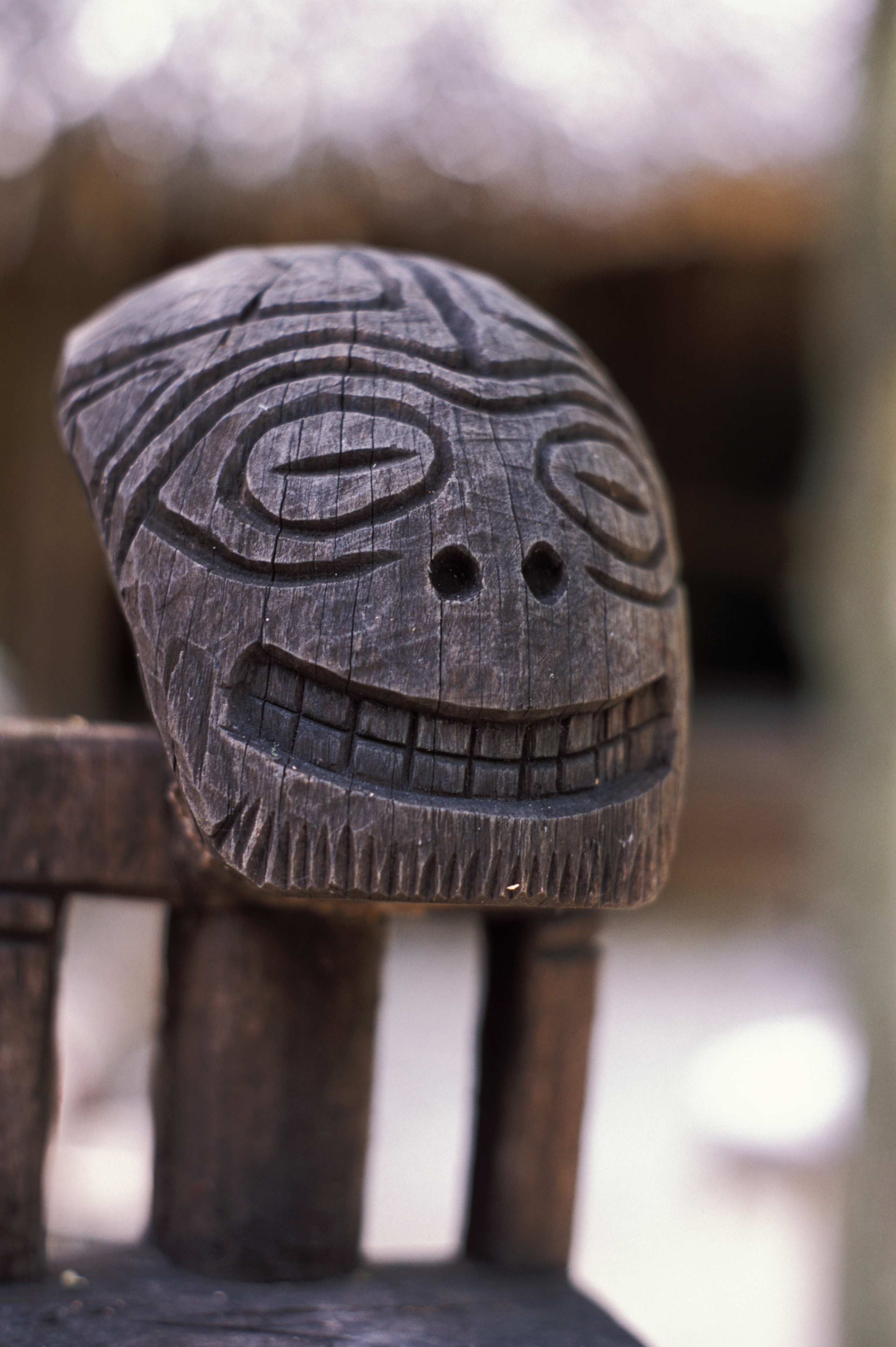 Taino Indian Carvings