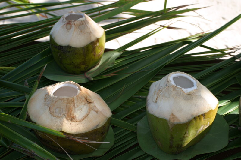 Coconuts — Dominican Republic, Caribbean, coconut, coconuts, drink