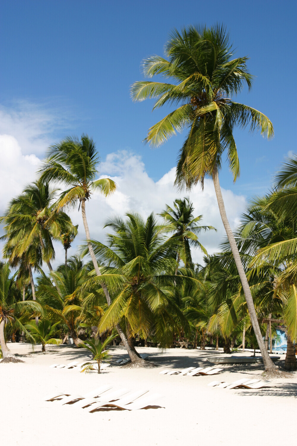 Beaches of Saona