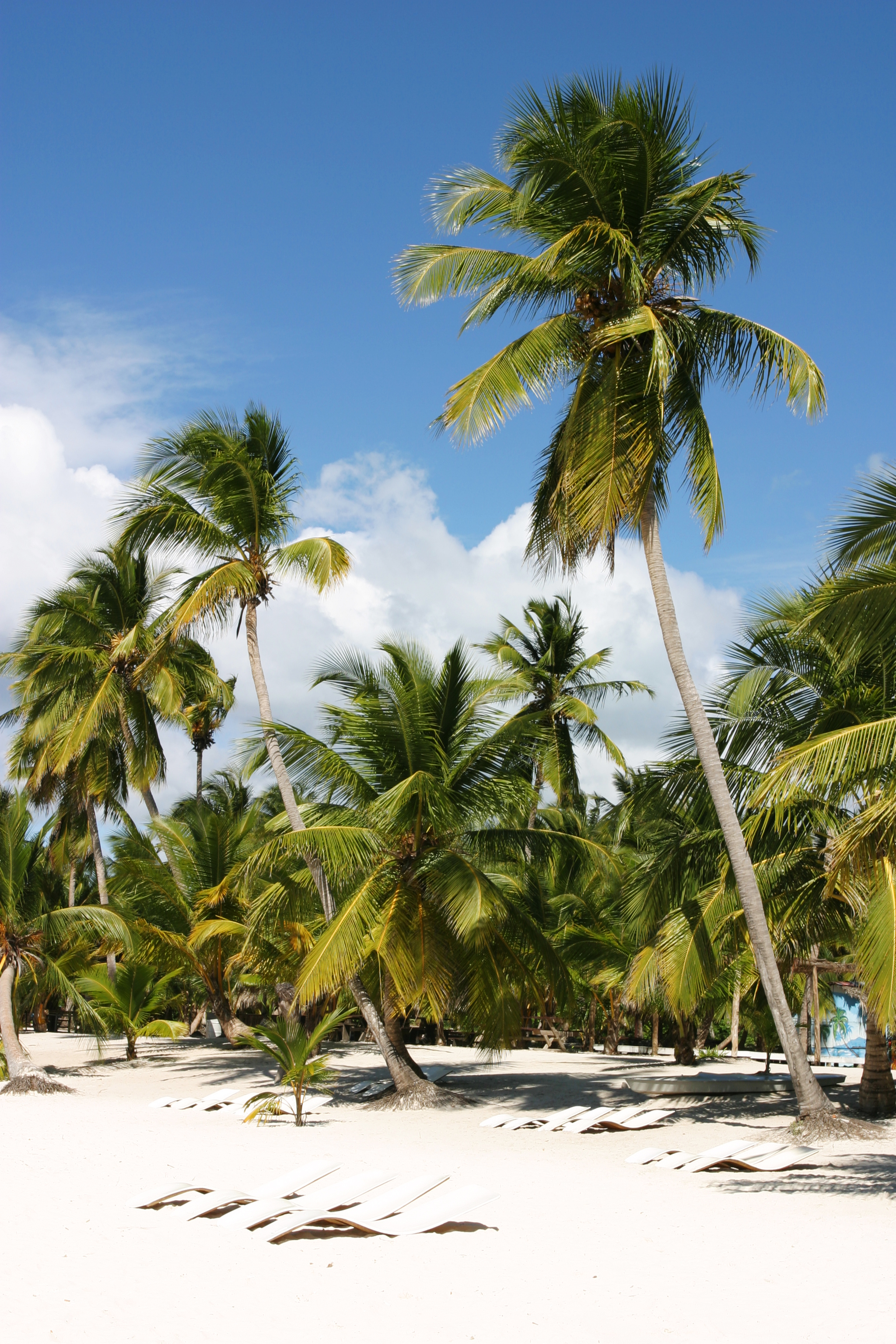 Beaches of Saona