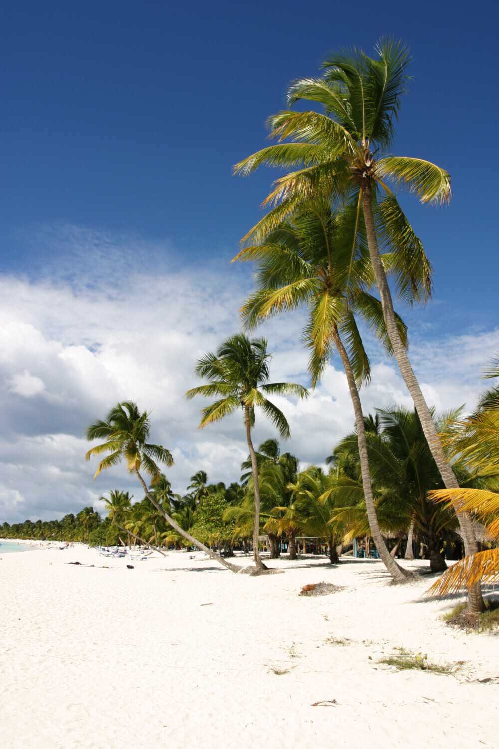 Beaches of Saona