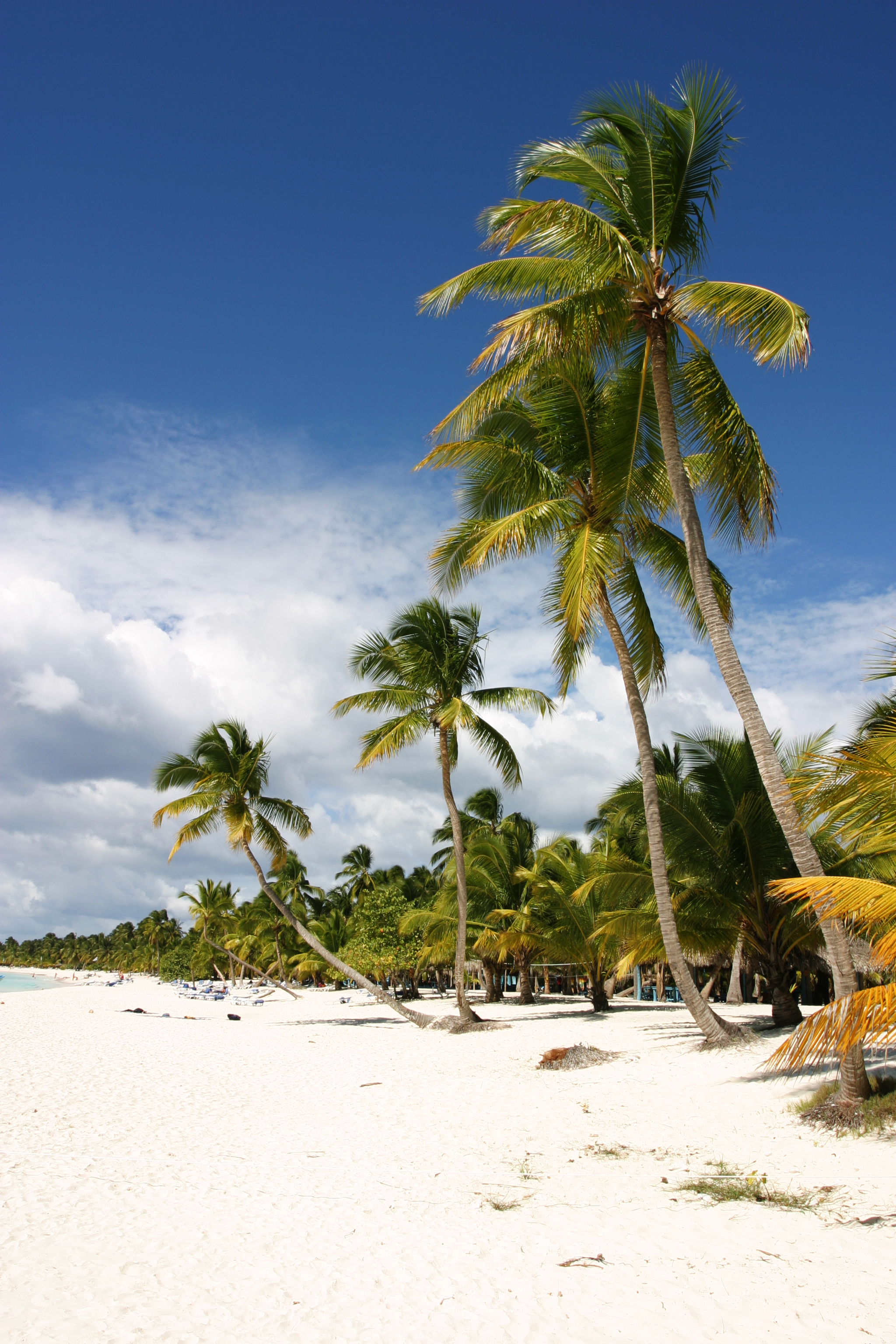 Beaches of Saona