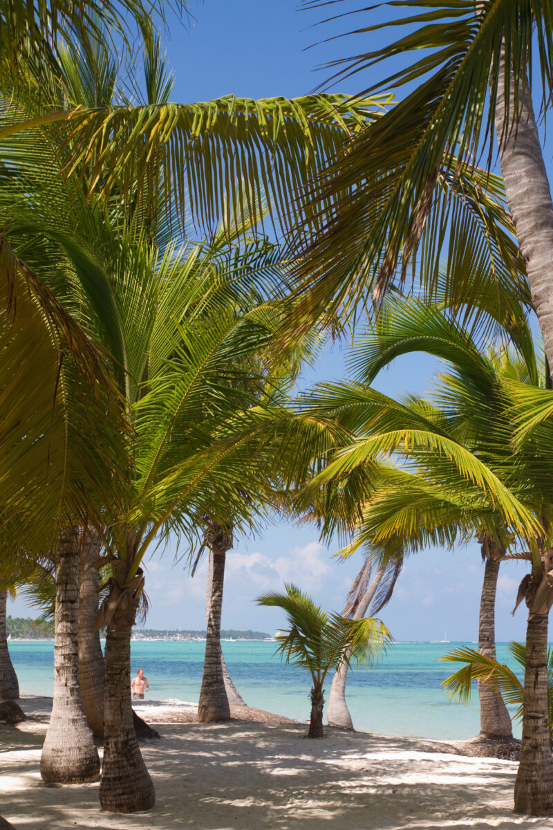 Beaches of Bavaro — Dominican Republic, Bavaro, Punta Cana, beaches, white sand