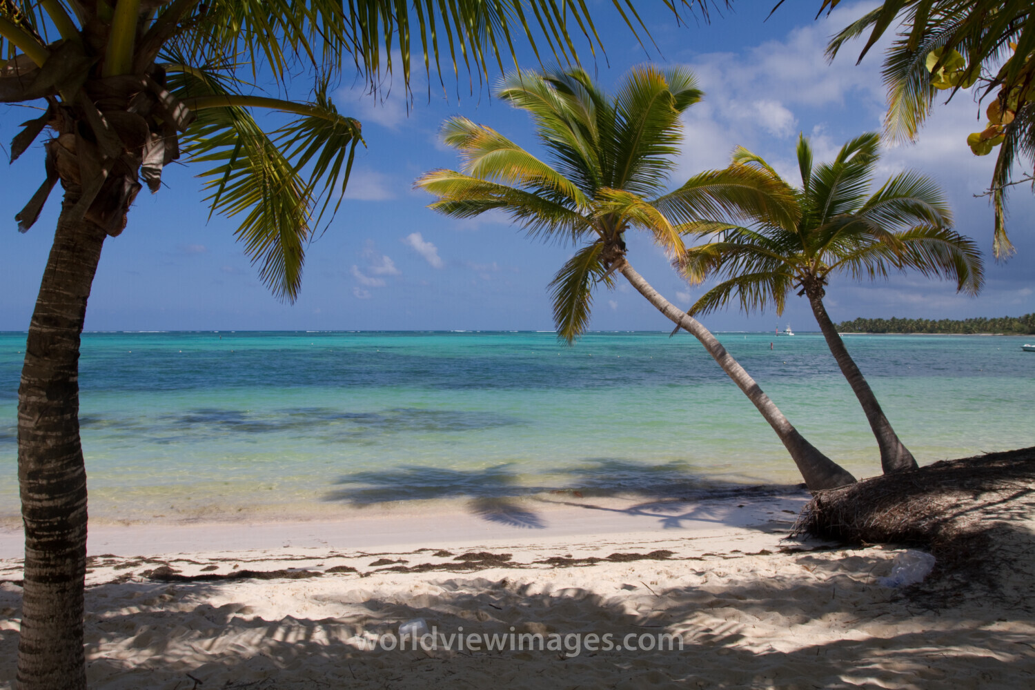 Beaches of Bavaro