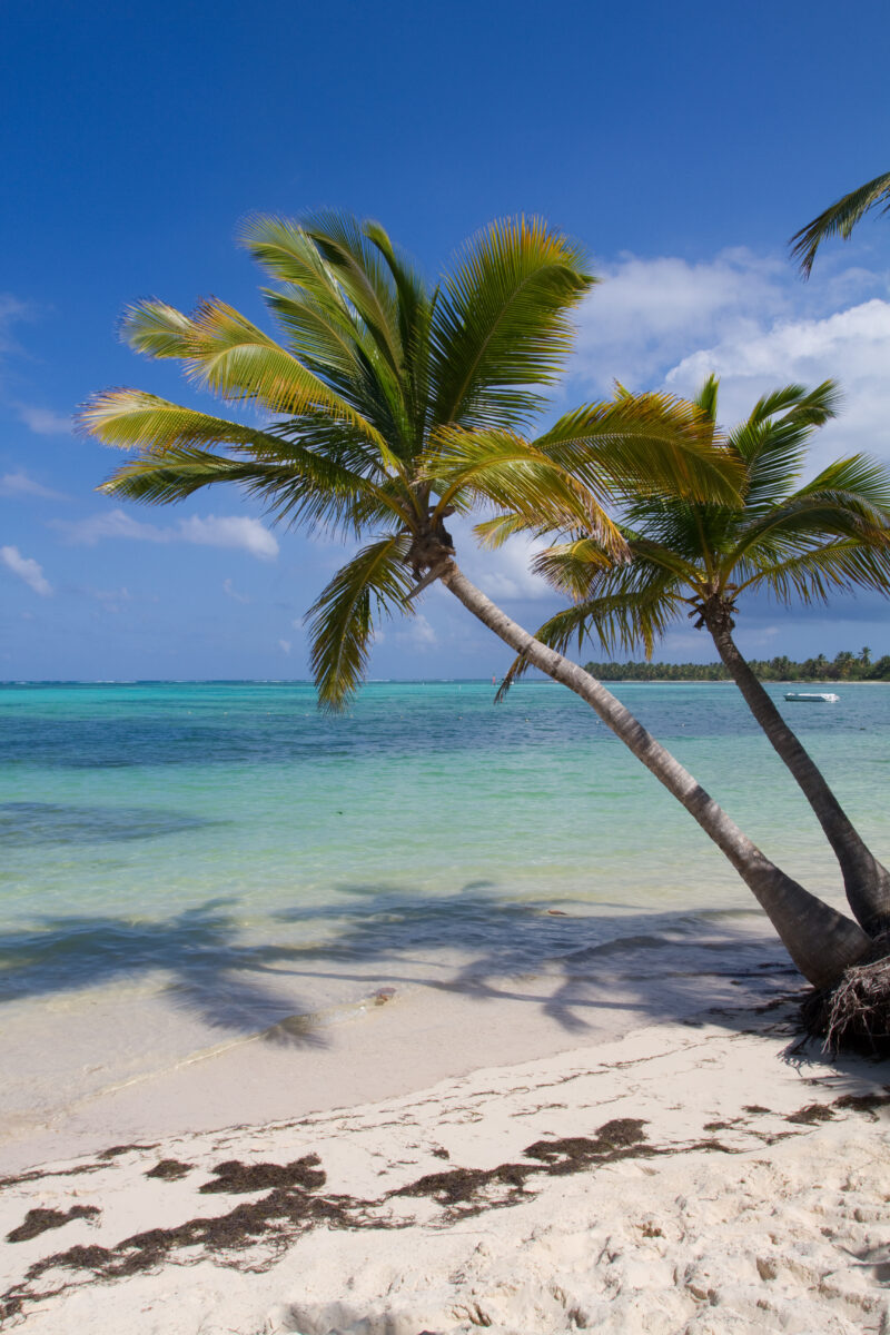Beaches of Bavaro — Dominican Republic, Bavaro, Punta Cana, beaches, white sand
