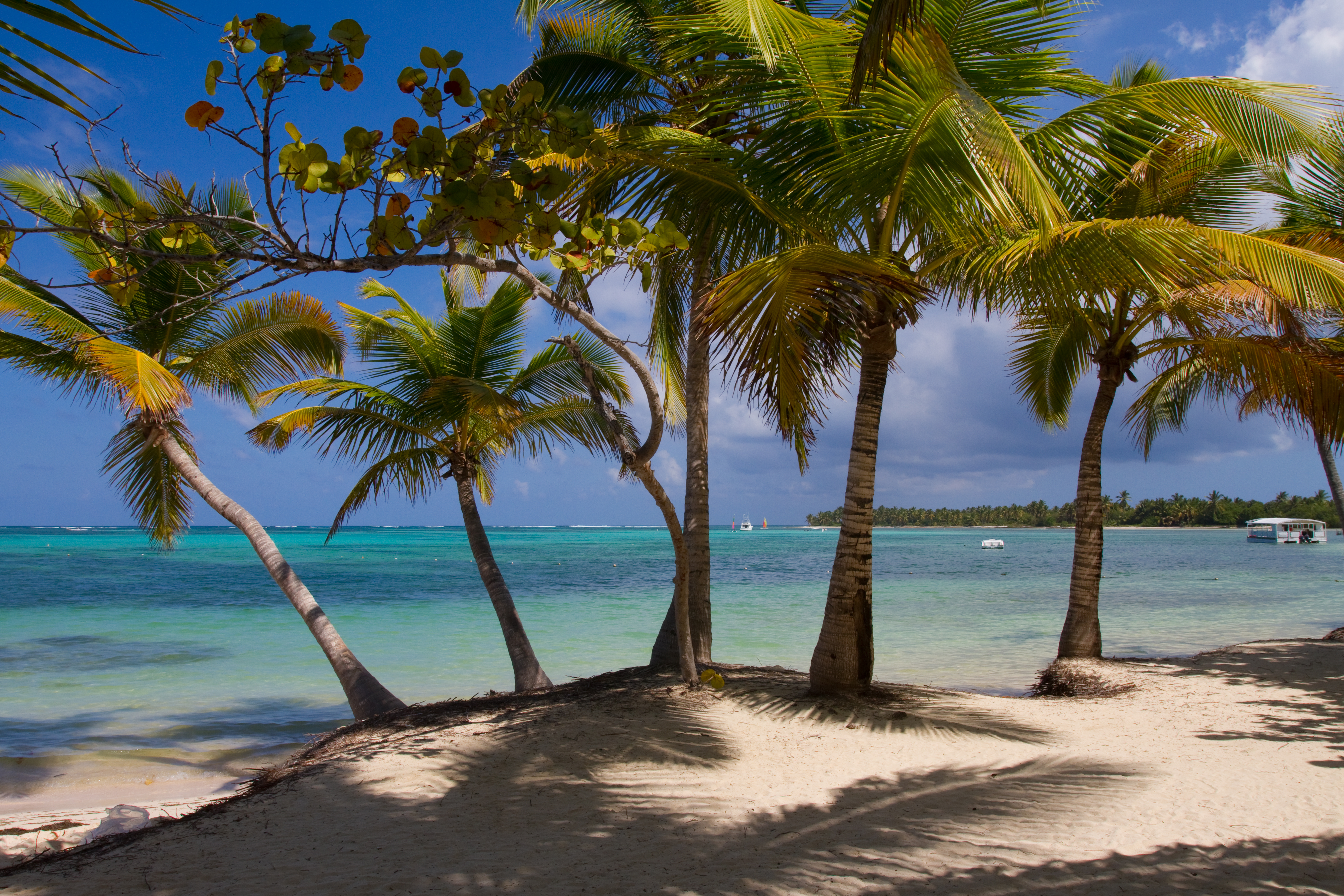Beaches of Bavaro