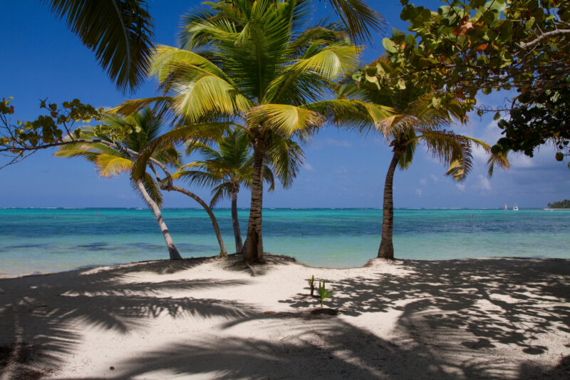 Beaches of Bavaro — Dominican Republic, Bavaro, Punta Cana, beaches, white sand