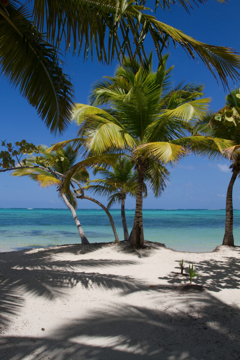Beaches of Bavaro — Dominican Republic, Bavaro, Punta Cana, beaches, white sand