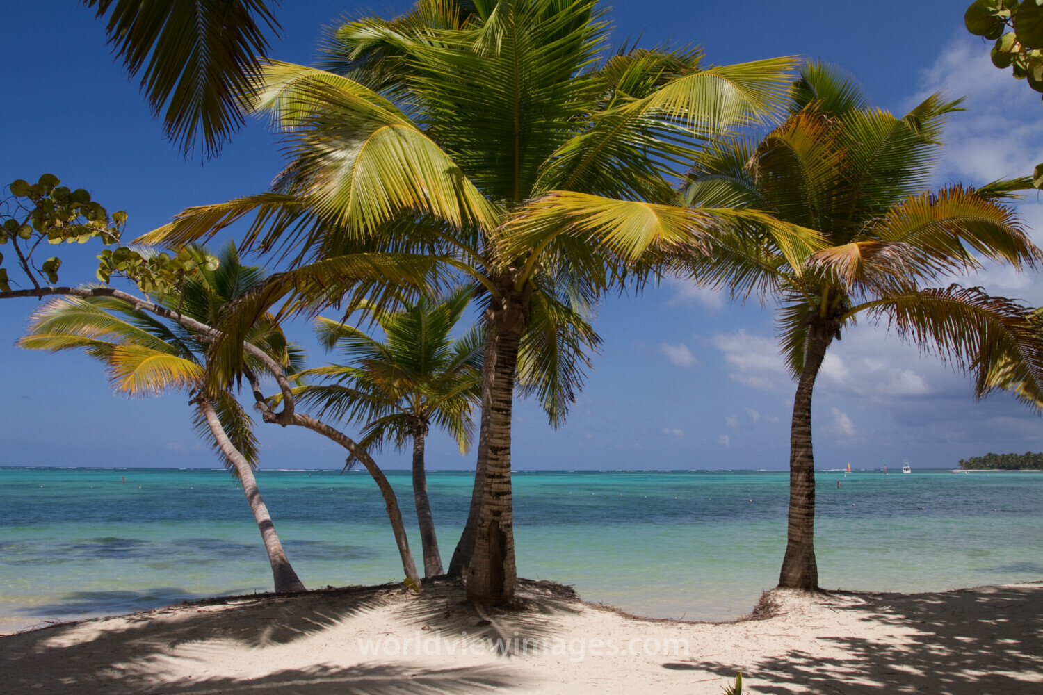 Beaches of Bavaro