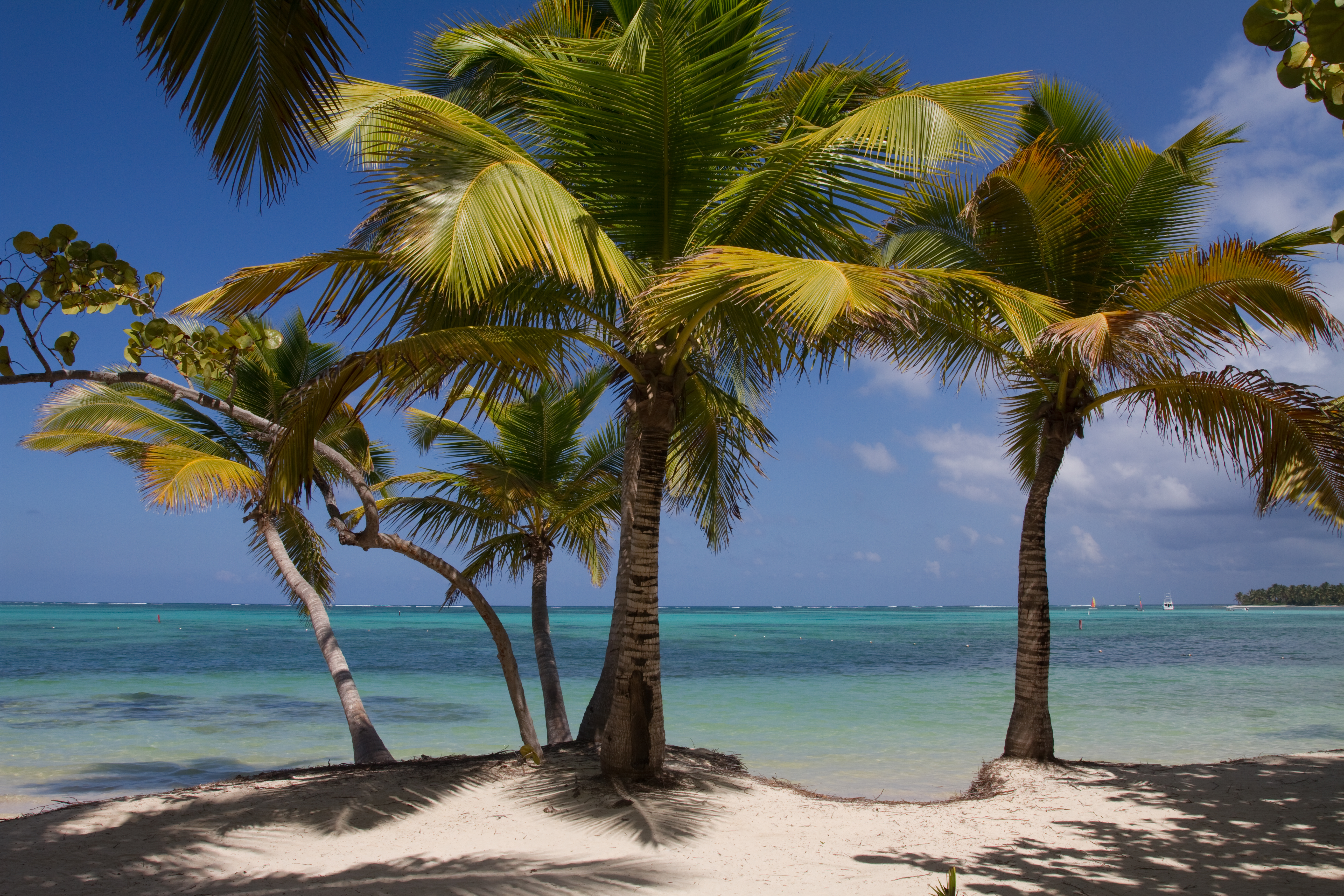 Beaches of Bavaro