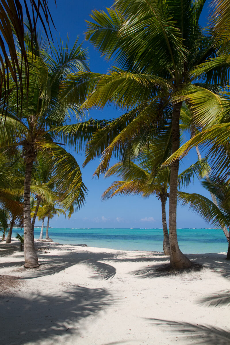 Beaches of Bavaro — Dominican Republic, Bavaro, Punta Cana, beaches, white sand