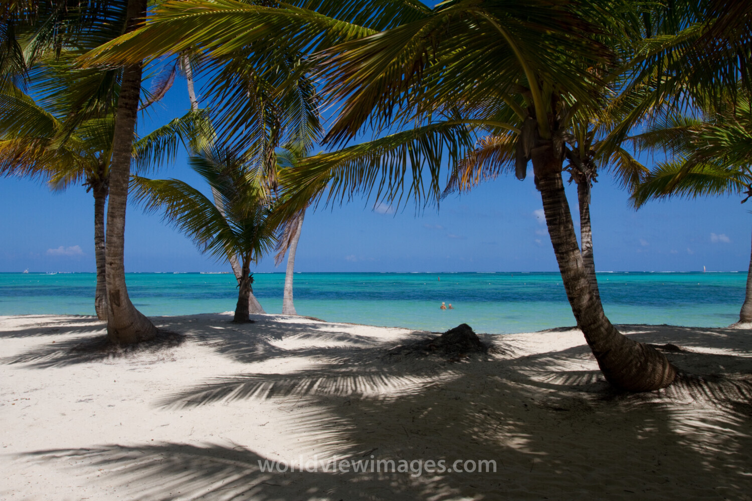 Beaches of Bavaro