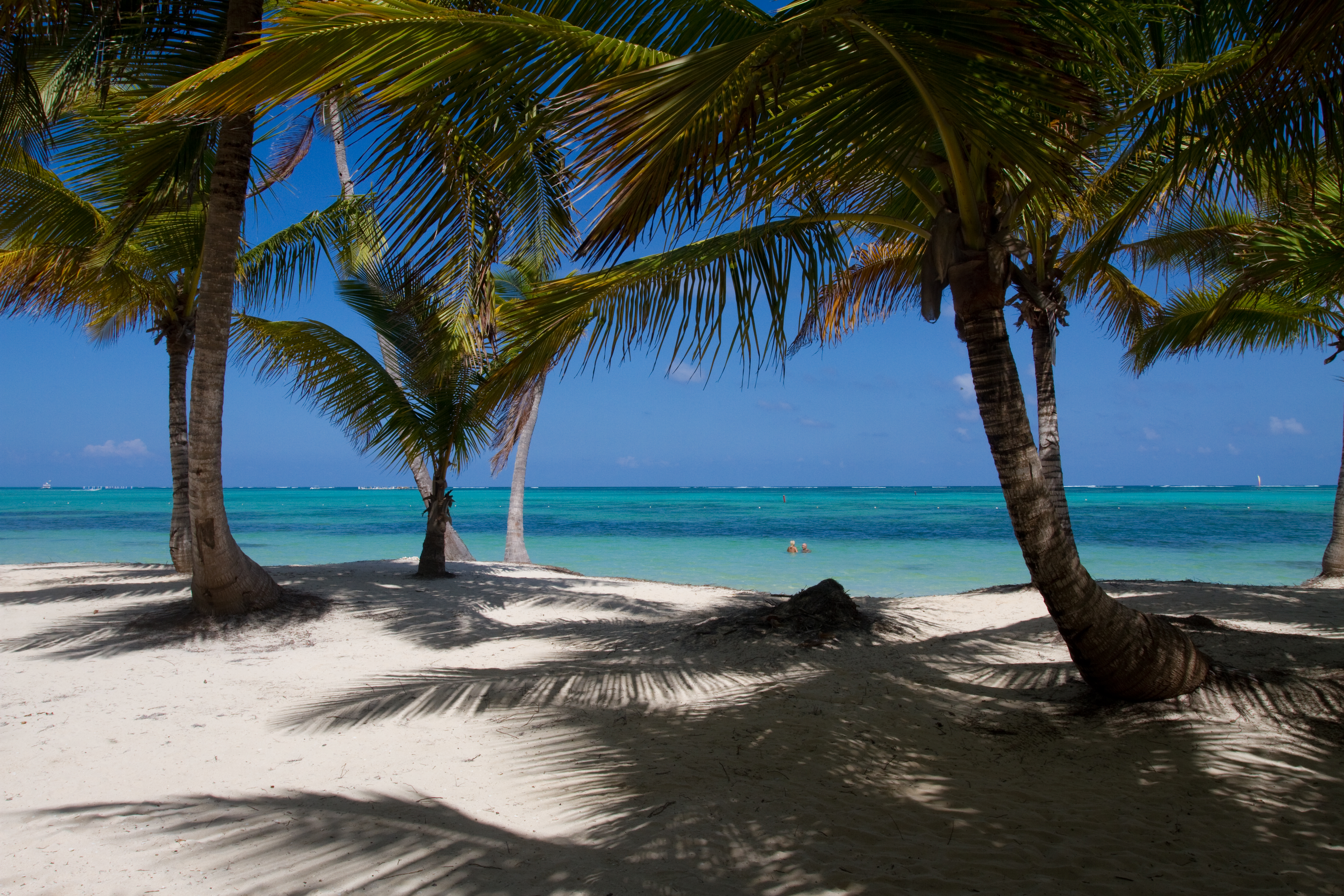 Beaches of Bavaro