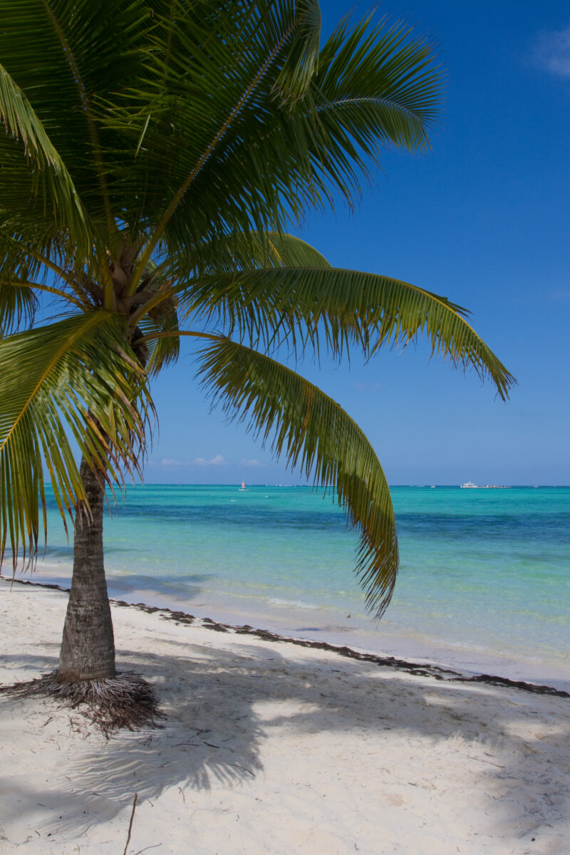 Beaches of Bavaro — Dominican Republic, Bavaro, Punta Cana, beaches, white sand
