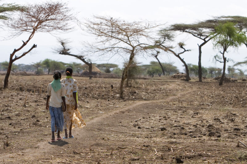 Walking to School in Ethiopia — Children in a poor village in Ethiopia, walk to their new school, provided by ADRA. — Ethiopia, Africa, African, Africans, Et...