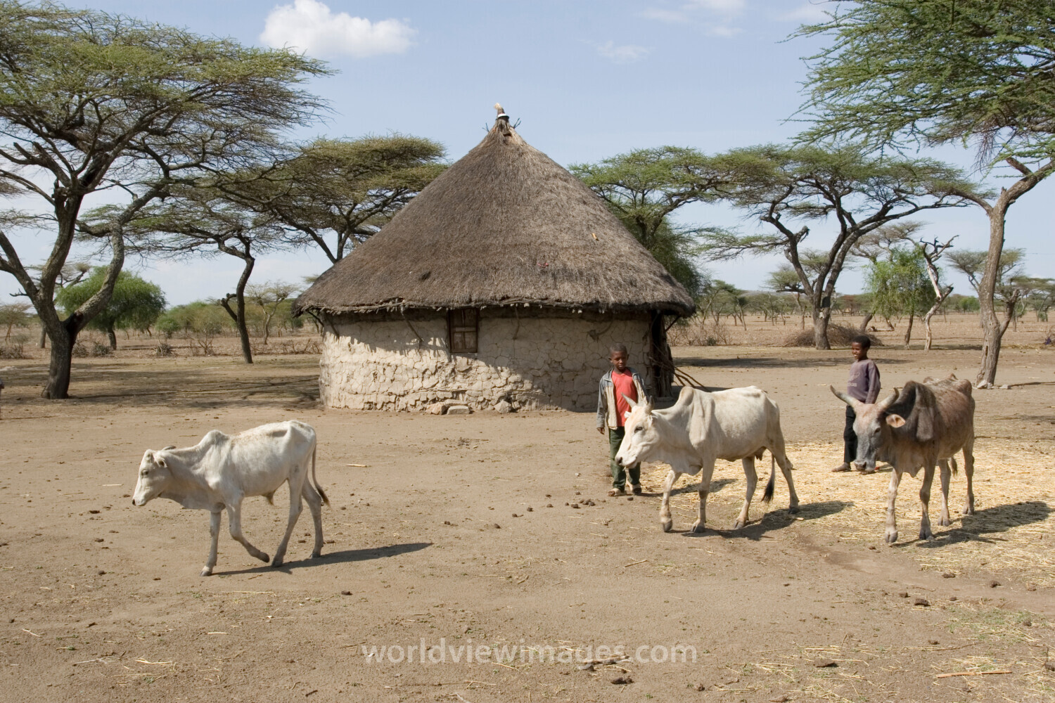Round House in Ethiopia
