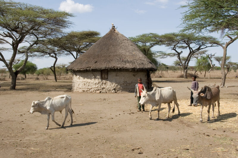Round House in Ethiopia — Stock Images of typical round mud huts of rural Ethiopia — Ethiopia, Africa, African, Africans, Ethiopian