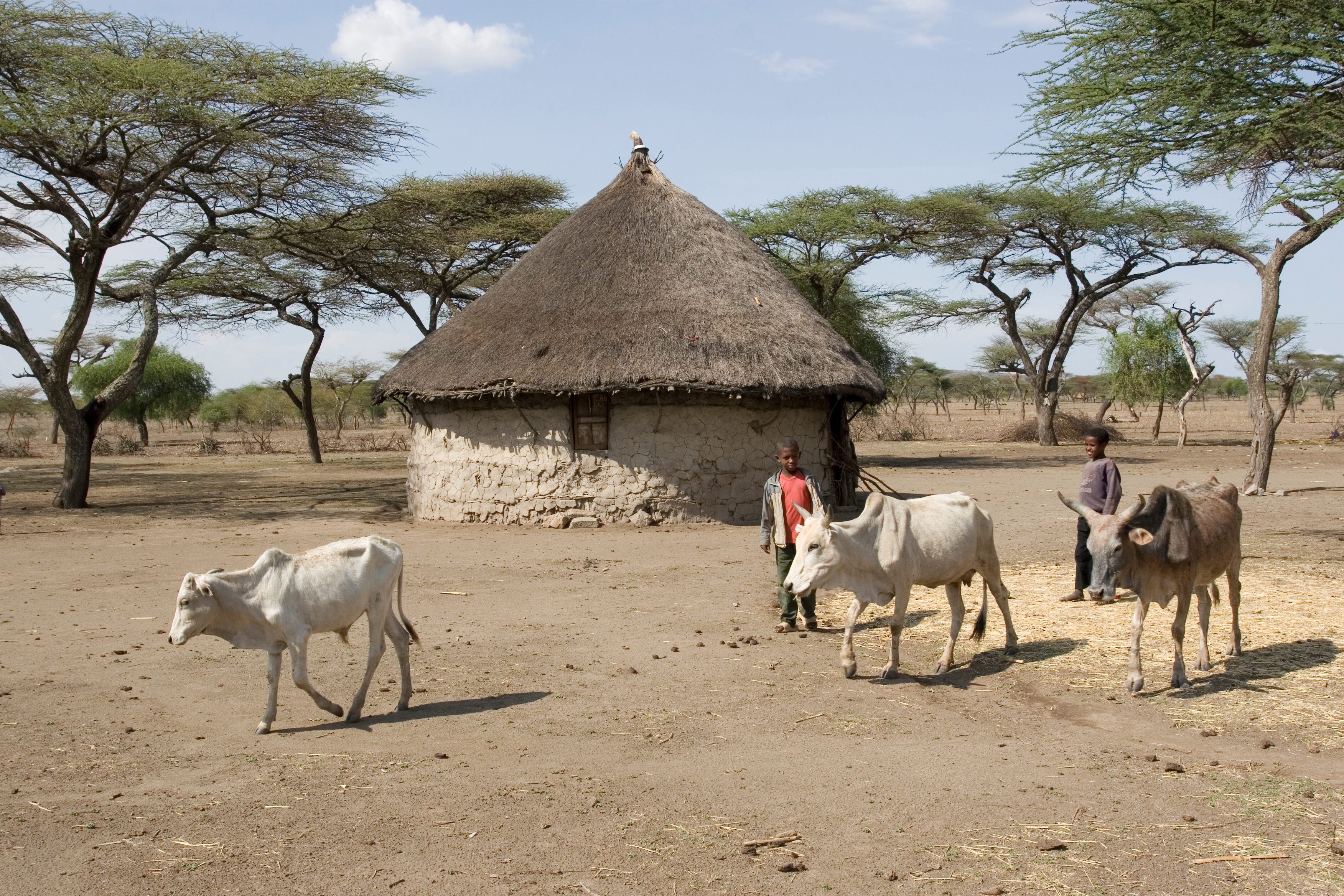 Round House in Ethiopia