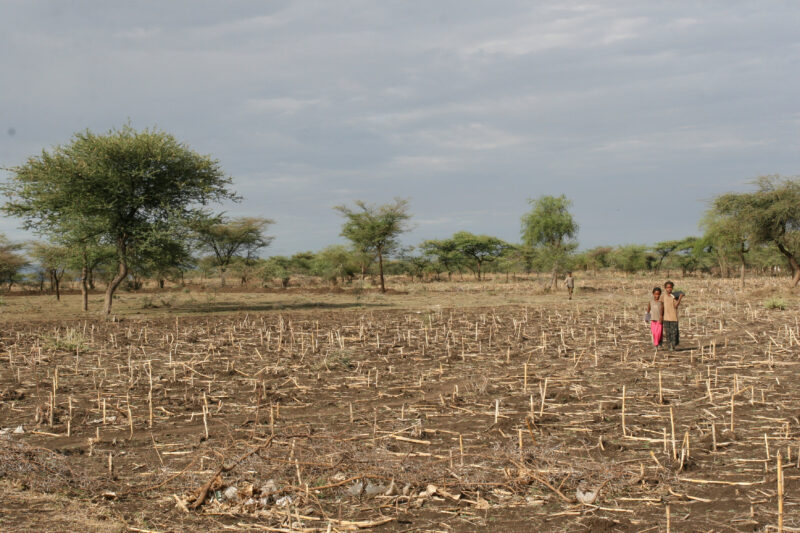 Walking to School — Children in a poor village in Ethiopia, walk to their new school, provided by ADRA. — Ethiopia, Africa, African, Africans, Ethiopian