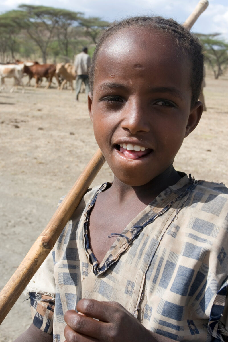 Girl in Ethiopia — Young girl works at driving the village cows to drink at a river about 10 kelometers from the village. — Ethiopia, Africa, African, Africa...