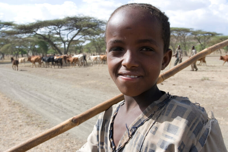 Girl in Ethiopia — Young girl works at driving the village cows to drink at a river about 10 kelometers from the village. — Ethiopia, Africa, African, Africa...