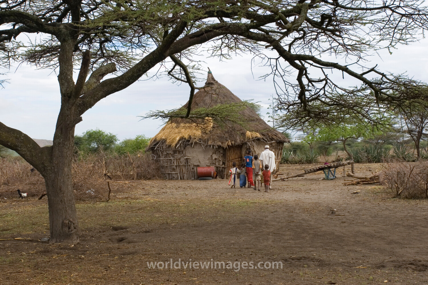Farm in Ethiopia