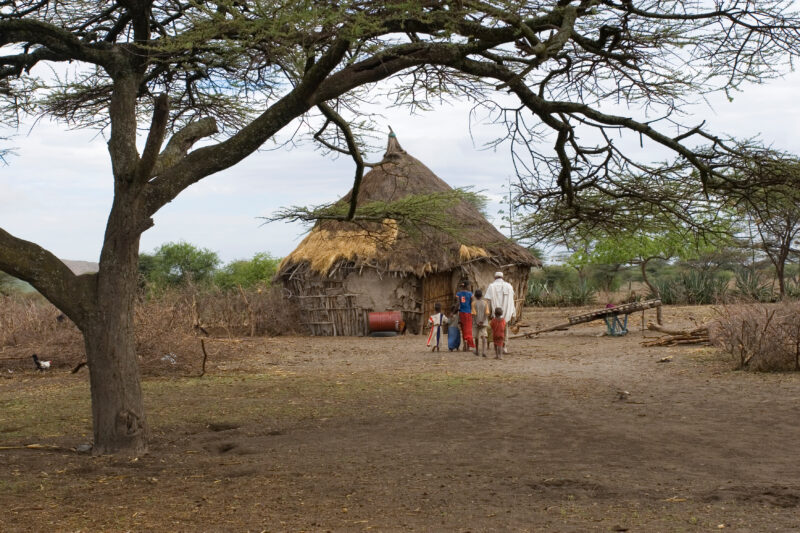Farm in Ethiopia — Ethiopia, Africa, African, Africans, Ethiopian