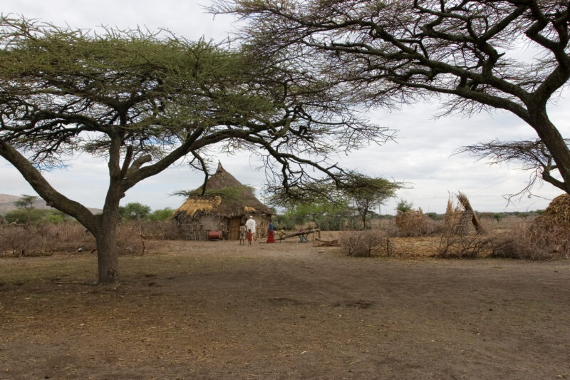 Farm in Ethiopia — Ethiopia, Africa, African, Africans, Ethiopian