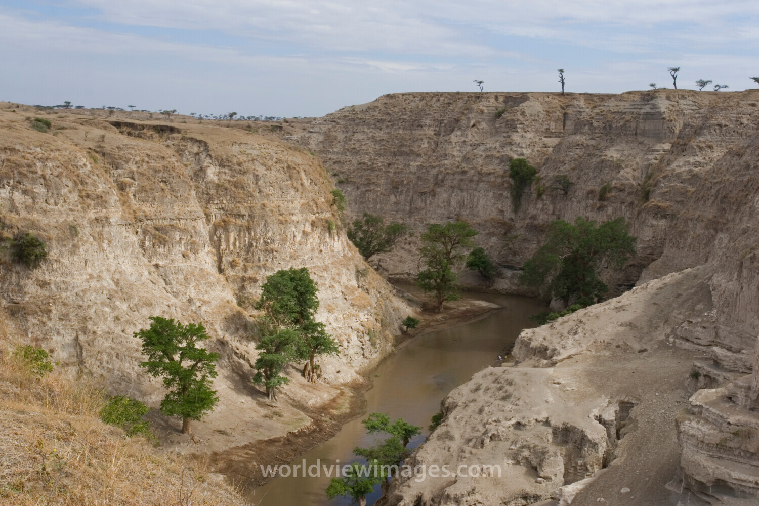 River in the Dry Season in Ethiopia