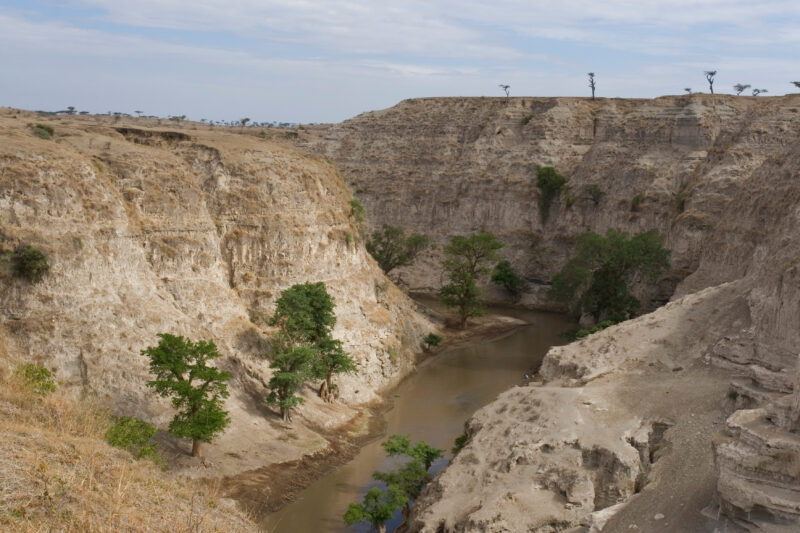 River in the Dry Season in Ethiopia — A river runing through Rural Ethiopia serves the water needs of dozens of villages along it's path. — Ethiopia, Africa,...